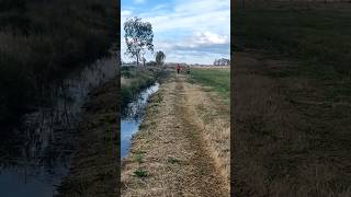 Descubre los senderos de Quinta Verde Campo fauna y paisajes únicosquot [upl. by Yc52]