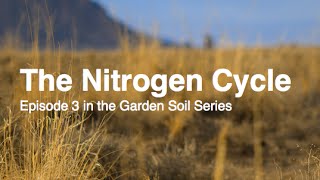 The Nitrogen Cycle Episode 3 in the Garden Soil Series Alberta Urban Garden [upl. by Haff]