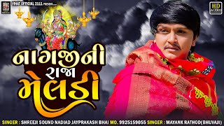 Mayank Rathod Regdi નાગજીની રાજા મેલડીMashani Meldi Ma RegdiNew Regdi Aalap  Vihat Official 2111 [upl. by Nim]