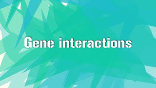 GENE INTERACTIONS Principle of inheritance and variation Class12 [upl. by Topping]