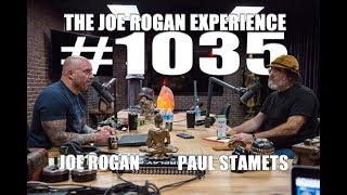 Joe Rogan Experience 1035  Paul Stamets [upl. by Ailyn489]