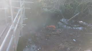 2 culverts on the Ashby canal one disused video 3 otherside January 26th 2024 [upl. by Derron350]