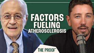 How Endothelial Dysfunction Causes Atherosclerosis  Dr Thomas Dayspring  The Proof Ep 251 [upl. by Evvy]