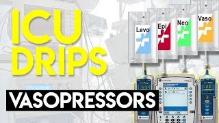 Vasopressors Part 1  ICU Drips [upl. by Accalia]