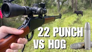 Invasive Hog Hunting with 22 LR Federal Punch [upl. by Liemaj]