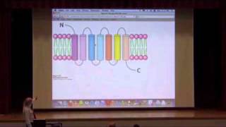 Cellular Signaling II [upl. by Nichol]