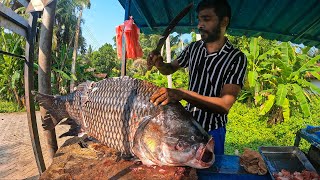 Biggest  Excellent Fish Cutting Skill Sri Lanka  27KG Monster Fish  Catla Fish Cutting [upl. by Nairbo]