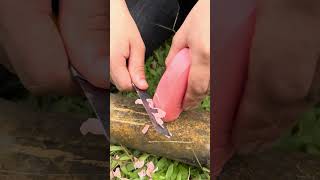 How to wash hands to save soap bushcraft survival camping outdoors [upl. by Nuahsyar802]