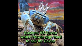 Gushers VS Caviar Watch Howie sign ASL food to ask for caviar [upl. by Alemaj191]