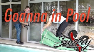 Sydney Snake Catcher  Snakey  Episode 1  Deadly Goanna in Pool  Clint Barter [upl. by Georgette163]