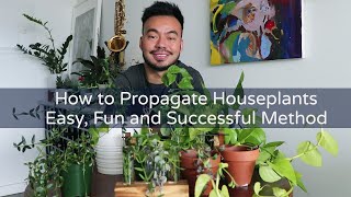 Let’s Propagate Some Houseplants  Easy for Beginners  Make More Indoor Plants in 2020 [upl. by Anastase992]