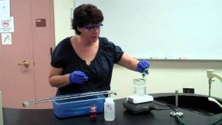 How to Perform an Endospore Stain [upl. by Nitsruk]