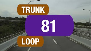 SBS Transit Trunk 81  Bus Service Route Visual [upl. by Pelmas]