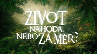 Život – náhoda nebo záměr  DOKUMENT 2008 [upl. by Ahseet]