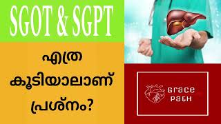 Are all SGOT  SGPT levels above normal range dangerous Malayalam [upl. by Awe]