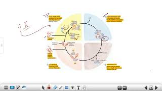 CSIR PYQ 15122019 Question Paper Discussion  Protein Folding  DNA Methylation  Embryo Sac [upl. by Courtney772]