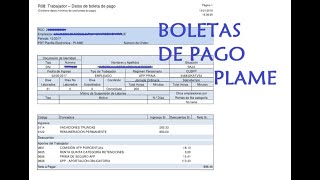 Como imprimir las boletas de pago del PLAME 2023  SUNAT [upl. by Letnoj212]