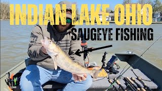 INDIAN LAKE OHIO SAUGEYE FISHING 42224 [upl. by Heman]