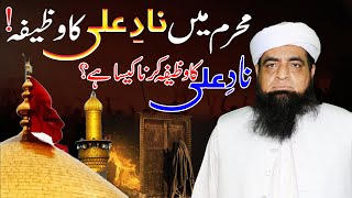 NadeAli Mushkilon Se Nikalti Hai  Nad e Ali Ka Wazifa Ka Faida  Mualana Peer Iqbal Qureshi [upl. by Puklich]