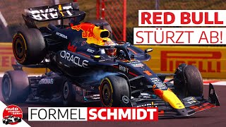 Verstappen dreht durch McLaren verhängt Stallregie  GP Ungarn Formel Schmidt 2024 [upl. by Maxma]