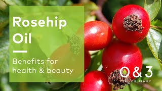 Rosehip Seed Oil R and O colour  Cold Pressed and Refined [upl. by Gilemette79]