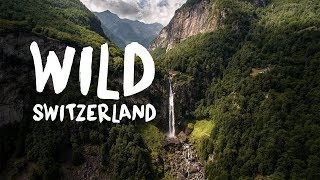 Wild Switzerland [upl. by Nurse]