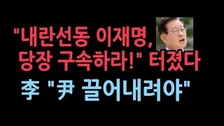 이재명 드디어 본색 드러냈다 quot윤대통령 끌어내려야 한다quot 자신의 구속 임박해니까 선동 폭주이재명 구속 촉구 범국민운동 [upl. by Centonze580]