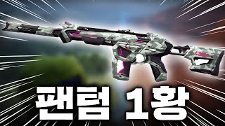 말하자마자 단 한번에 나왔습니다 쏘는맛 지리는 팬텀 1황 스킨 프로토콜 팬텀 [upl. by Cote]