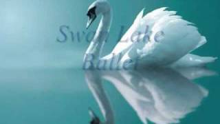 Swan Lake Ballet Tchaikovsky  Act IV XXVIII Scene amp XXIX Finale [upl. by Idalla]