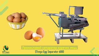 Промисловий сепаратор STvega Egg Separator 6000 курячих яєць відокремлення жовтка від білка [upl. by Eldnek211]