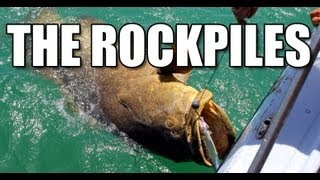 Goliath Grouper Fishing Florida Keys with Capt Dave Sutton [upl. by Angelina]