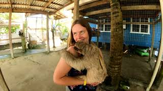 Danial Johnsons Monkey and Sloth Hang Out  Roatan 2022 [upl. by Suoivatnod140]