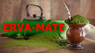 BENEFÍCIOS DA ERVA MATE [upl. by Halstead]