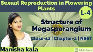 Structure of Megasporangium  L4  Sexual Reproduction in Flowering Plants  Class 12  NEET [upl. by Myles]