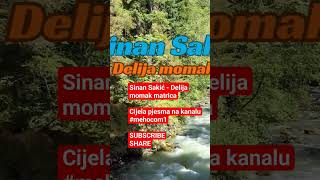 Sinan Sakić  Delija momak MATRICAshorts music cover instrumental matrices karaoke [upl. by Hoy550]