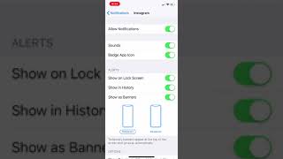 Como quitar las notificaciones de la pantalla en todos los iPhone [upl. by Valoniah]