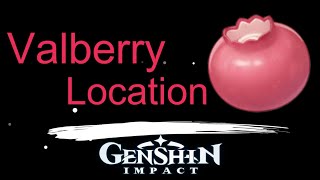 Valberry Location Genshin Impact [upl. by Ecyob917]