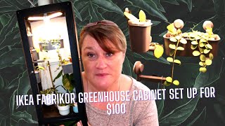 Ikea Fabrikor Greenhouse Cabinet Set Up for 100 [upl. by Yrdua]