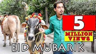 Bakra Eid Mubarik 2016 l Peshori vines Official [upl. by Nowaj30]