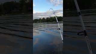 pike top water BLOW UP fishing topwaterbassfishing topwaterlure [upl. by Annal]