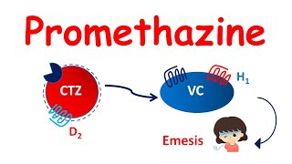 Promethazine tablets  Mechanism Precautions side effects amp uses [upl. by Burch]