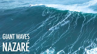 The Big Wave Surfers of Nazaré  GIANT WAVES November 24 2022 4K drone footage [upl. by Yrrab]