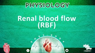 Revision of ‍L3 Renal blood flow physiology [upl. by Karyl121]