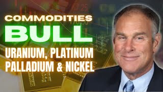 ⭐️ Make Tons Of Money With Platinum and Palladium Investing  Rick Rule [upl. by Inge]