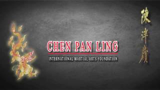 quotNEWquot Chen Pan Ling Authentic Tai Chi Chuan DVD [upl. by Broder827]