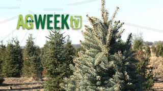 AgweekTV Full Episode 121523 [upl. by Eidlog]