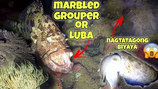 eps143 MAY NAGTATAGONG BIYAYA😱 AT MERON PA MALAKING LUBA🤑 fishing nightspearfishing gopro fish [upl. by Eilarol]