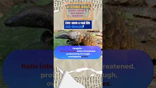 quotPangolins Unveiled Natures Armored Anteaters  30Second Insightsquot [upl. by Origra]