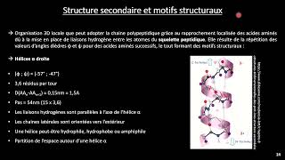 Biochimie 1  Structure des protéines 2 [upl. by Vasily]