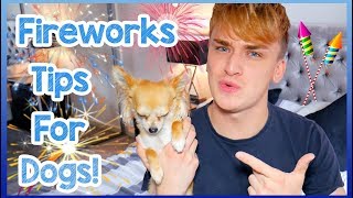 Keeping Dogs Calm During Fireworks  How to Help Your Dog Relax on Bonfire Night and New Years Eve [upl. by Bowra998]